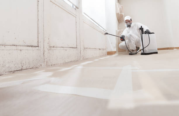 24/7 Emergency Basement Mold Remediation experts in Micro, NC